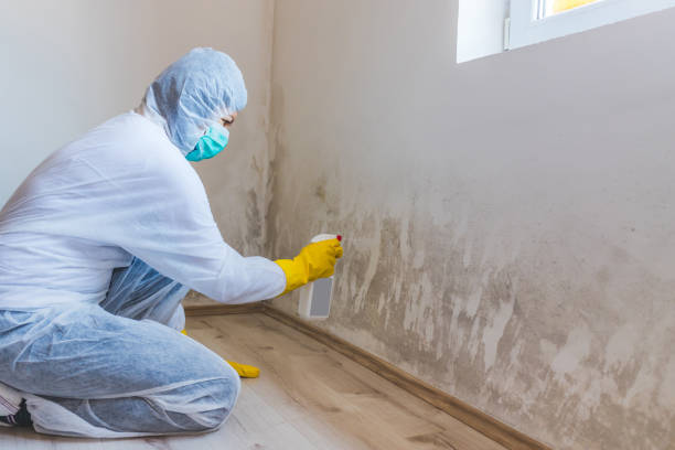 Crawl Space Mold Removal in Santo Domingo Pueblo, NM
