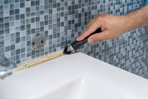 Best Professional Mold Removal  in Santo Domingo Pueblo, NM