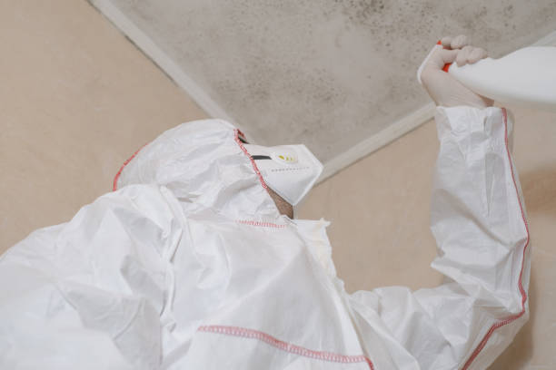 Best Mold Testing  in Santo Domingo Pueblo, NM