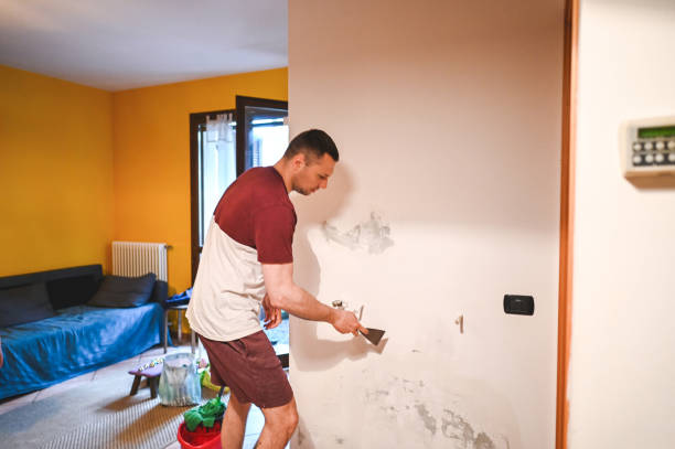 Mold Removal Process in Santo Domingo Pueblo, NM
